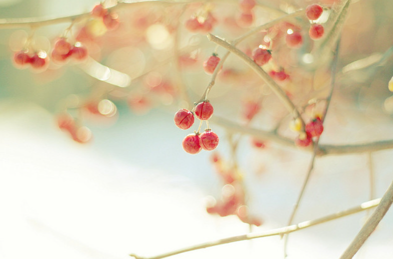 Screenshot_1 - nhasachonline.vn